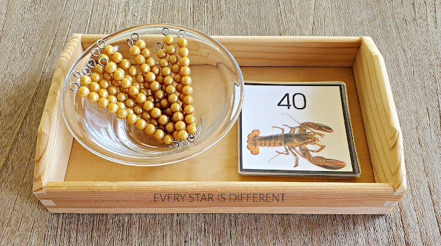 Crustaceans Skip Counting By 10s Activity