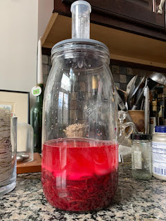 fermented beets homesteading