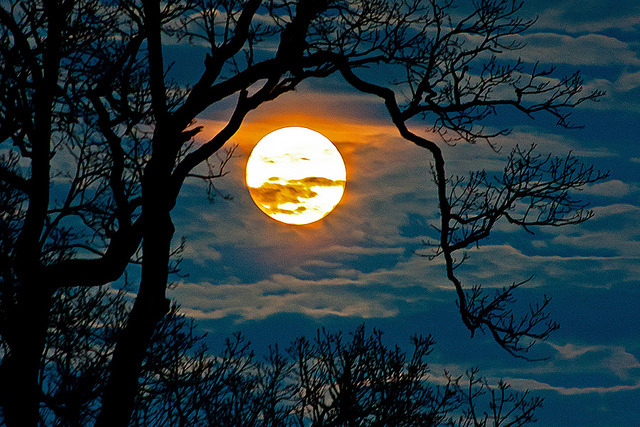 SERENIDADE TRADUZIDA EM IMAGENS