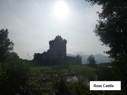 Ross Castle in Killarney in Irland Ireland
