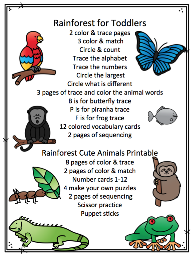 Rainforest Bundle 2 ~ Preschool Printables