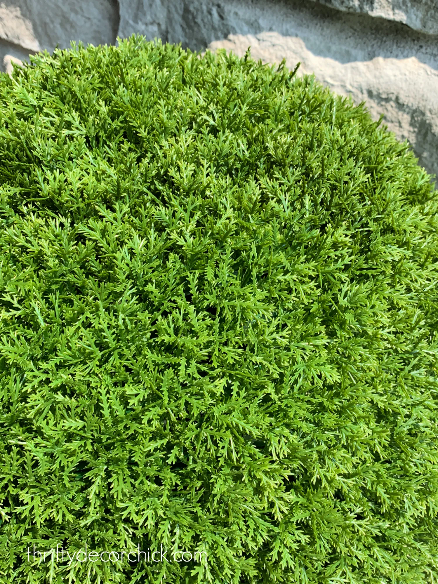 This Faux Evergreen "Plant" Will Fool Everyone Thrifty Decor Chick