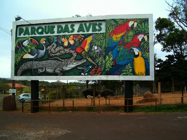 3 passeios imperdiveis em Foz do Iguaçu: Parque das aves