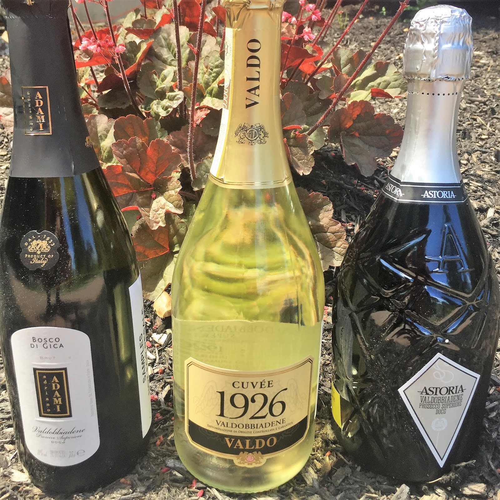 Vino Travels ~ An Italian Wine Blog: Prosecco DOCG is More Than Just ...