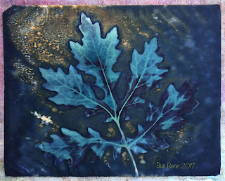 Wet cyanotype, Sue Reno, Image 35
