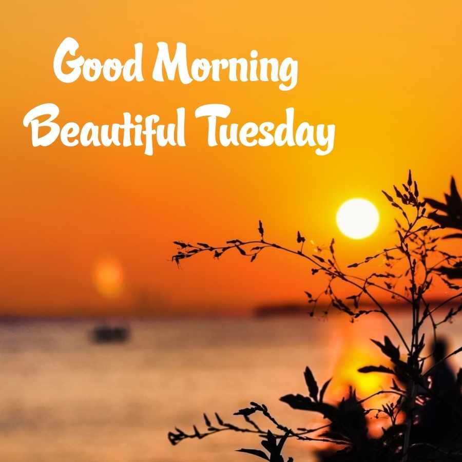 good morning happy tuesday