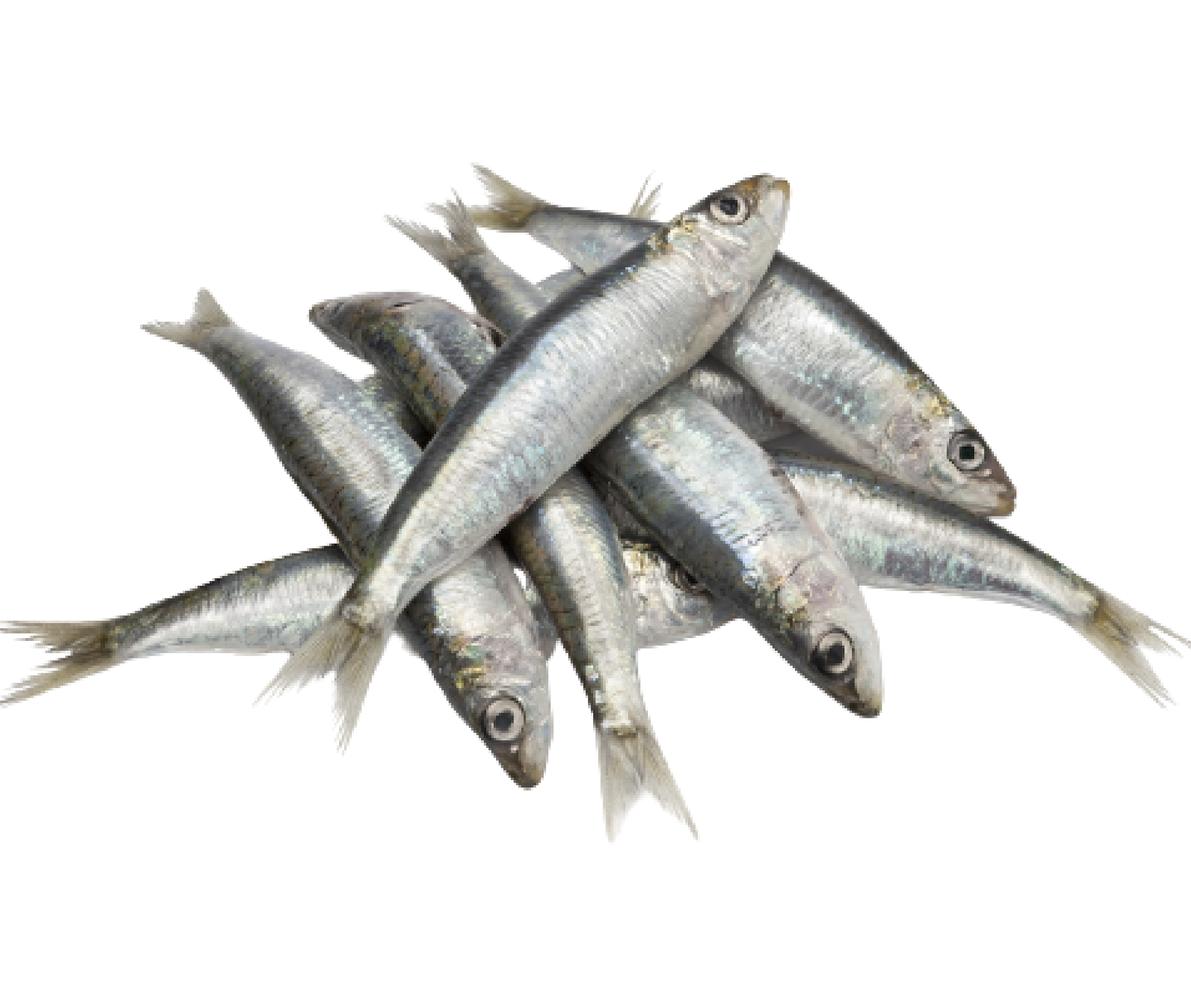 Nutritional Data at a Glance Seafood Hannah Ra