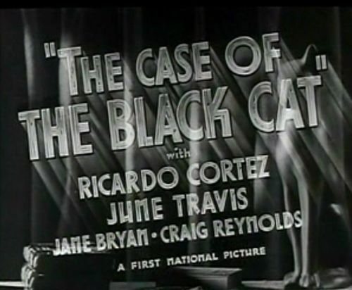 The Case of the Black Cat