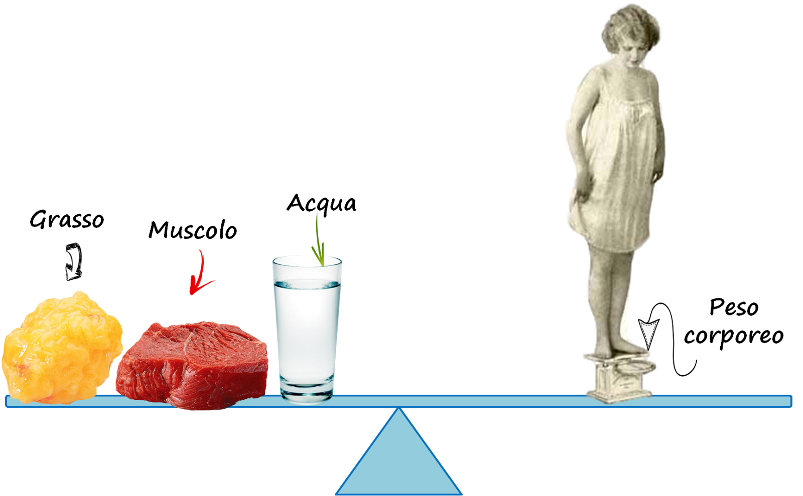 bilancia che misura il grasso corporeo
