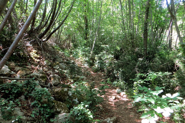 valle dei mulini mossano colli berici