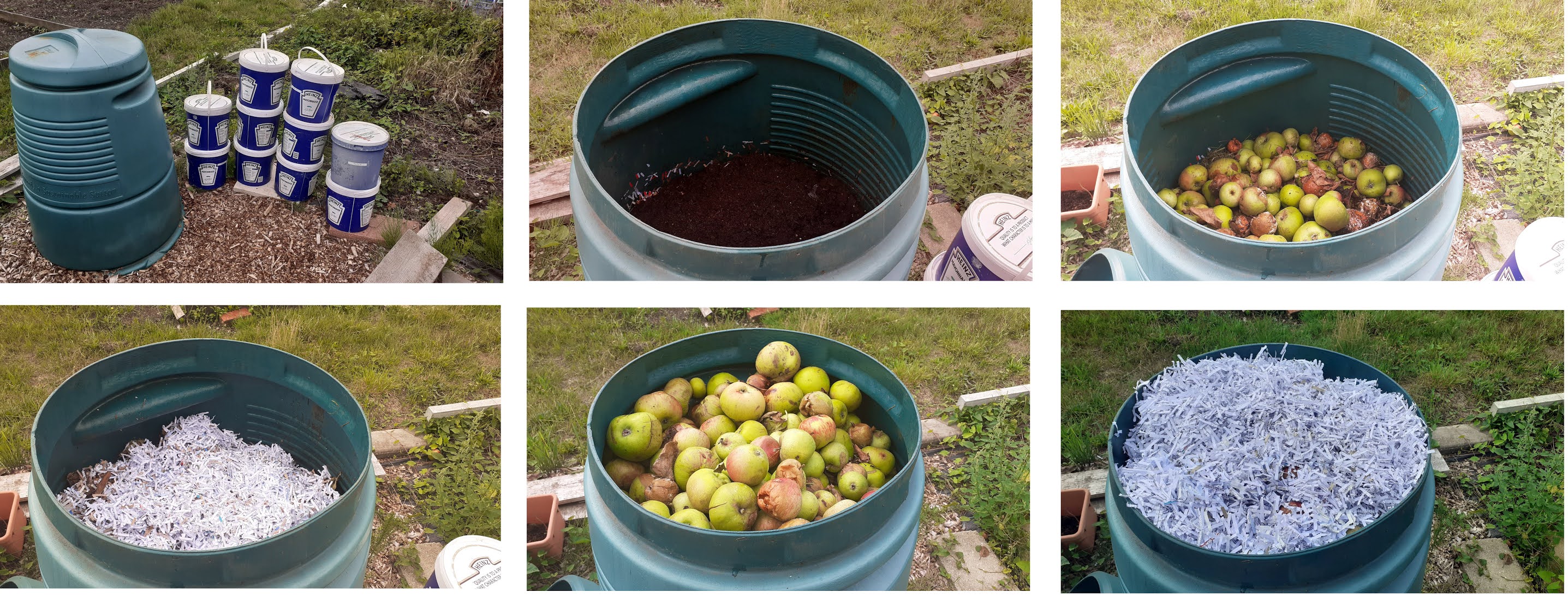 Alans Allotment More Acidic Compost