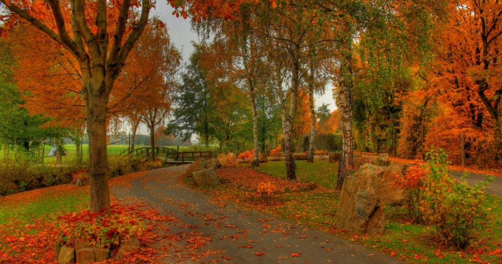 Bibliotecas Clara de Resende: Equinócio de Outono 2017 22 setembro ÀS ...