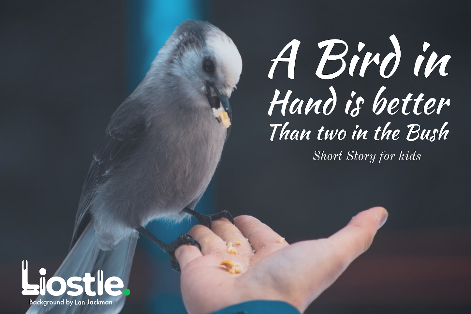 A Bird in Hand is better Than two in the Bush Short Story Liostle