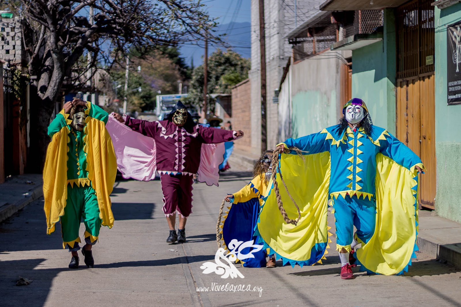 Domingo de Carnaval en San Juan Bautista la Raya, Oax Galería Vive