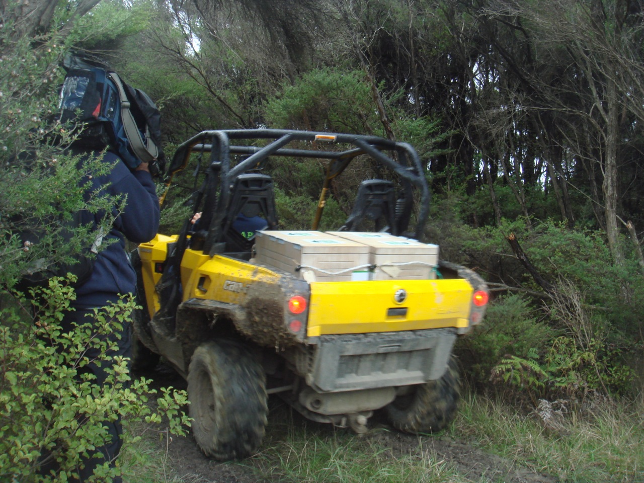 Welcome to Room 32: Kiwi Release