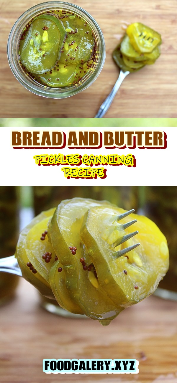 BREAD AND BUTTER PICKLES CANNING RECIPE