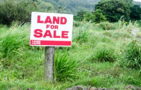 Contoh Surat Kuasa Menjual Tanah