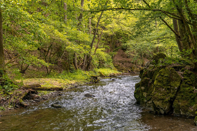 Traumschleife Baybachklamm | Saar-Hunsrück-Steig | Wandern Kastellaun | Premiumwanderweg Hunsrück 06