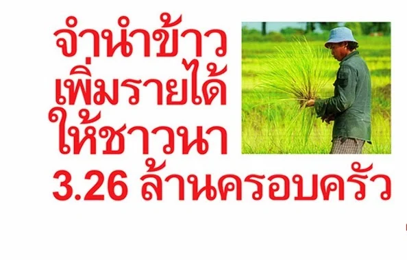 นโยบายจำนำข้าว พรรคเพี่อไทย