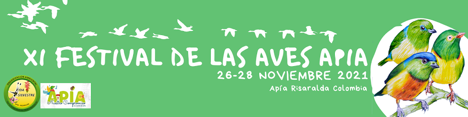 Festival de las Aves Apia Risaralda Colombia