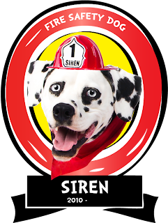 nice fire dogs for a cheap price nice fire dogs for a cheap price