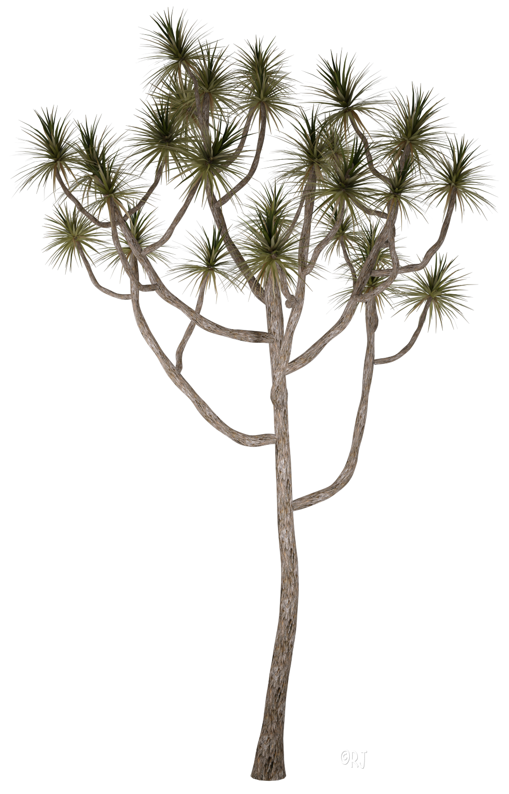 RJs Bits Bobs Props & Pieces: January 2020