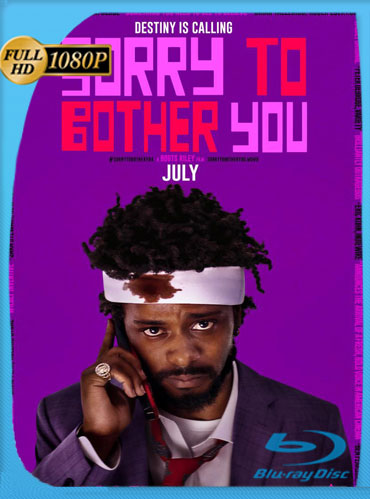 Sorry to Bother You (2018) HD 1080p Latino Dual [GoogleDrive] TeslavoHD