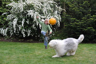 alt="niño lanzando el balon hacia el perro"