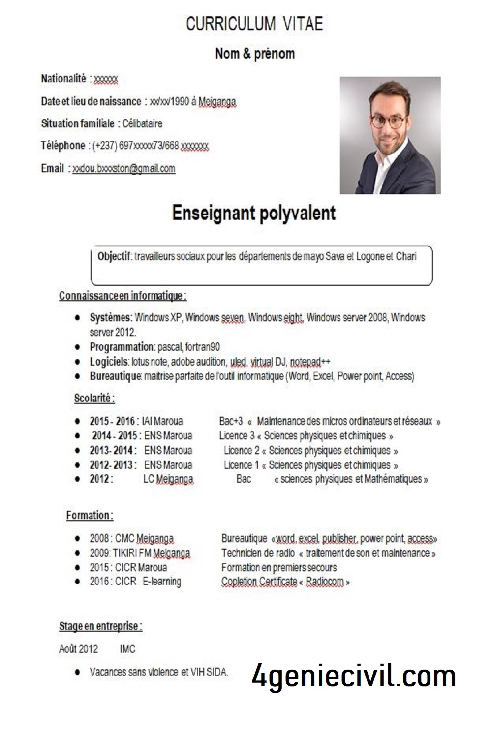 cv professionnel en francais