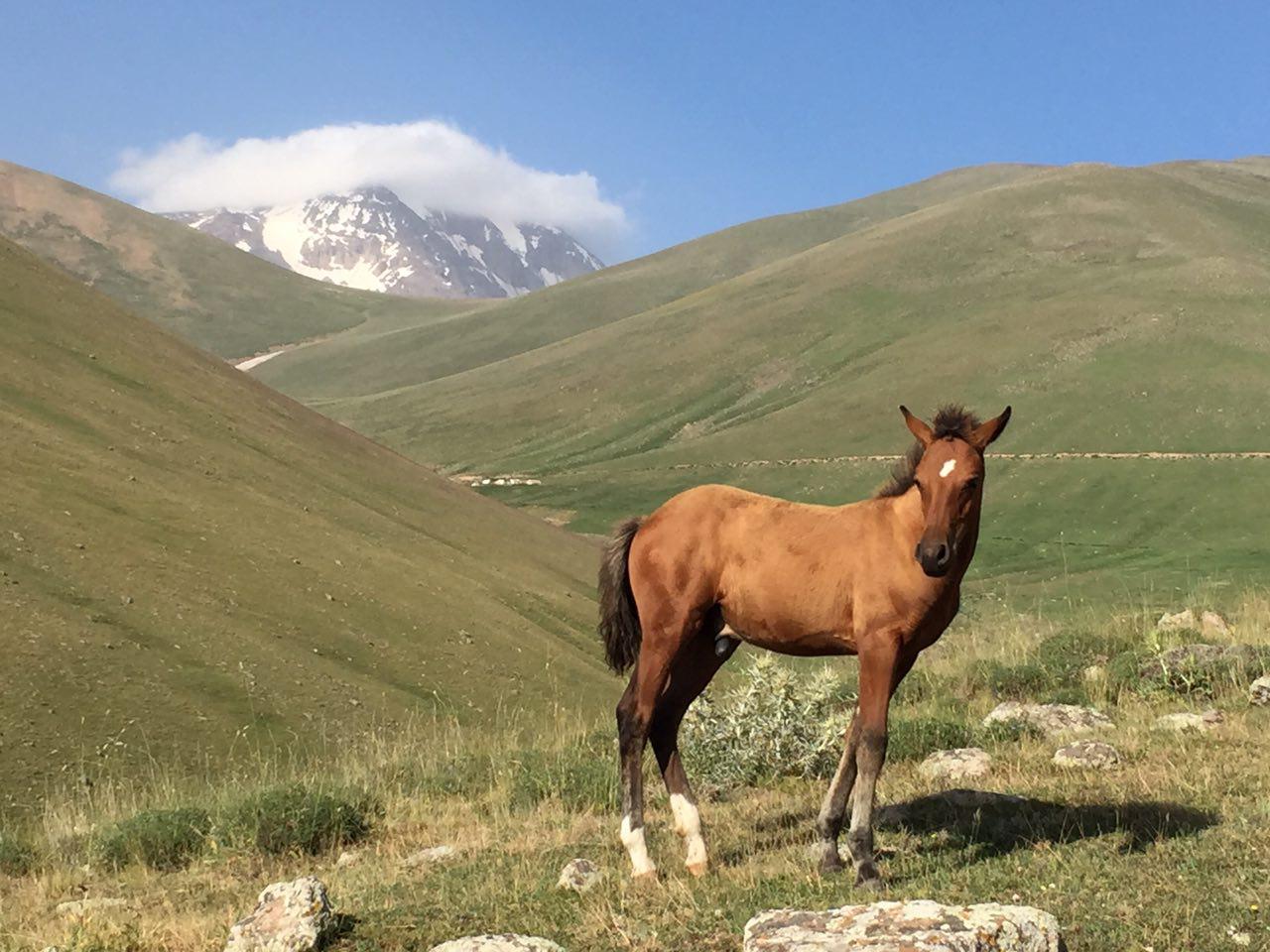 Остров санги мугань азербайджан Остров санги мугань азербайджан