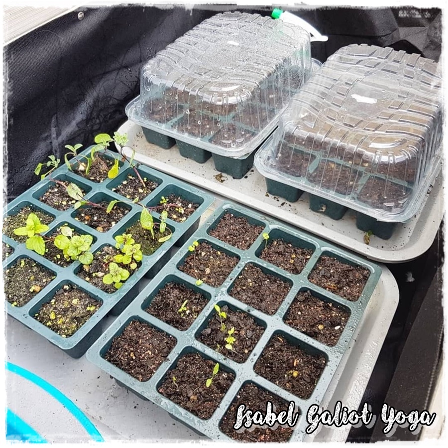 Isabel Galiot Yoga: Especial día de la Tierra: Mi jardín adaptado al