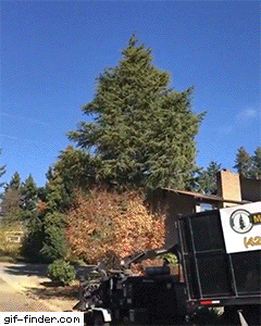 tumblr_2c89c8fef3955cf83c59b6a0bd8ae8a9_daae3e5e_250.gif