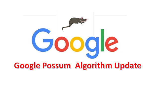 Google Possum  Algorithm Update
