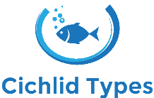 Cichlid Types