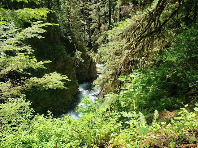 Olympic national park, national park, park, Olympic, waterfalls, hiking, forest, mountains