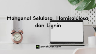 Mengenal Selulosa, Hemiselulosa, dan Lignin Mengenal Selulosa, Hemiselulosa, dan Lignin