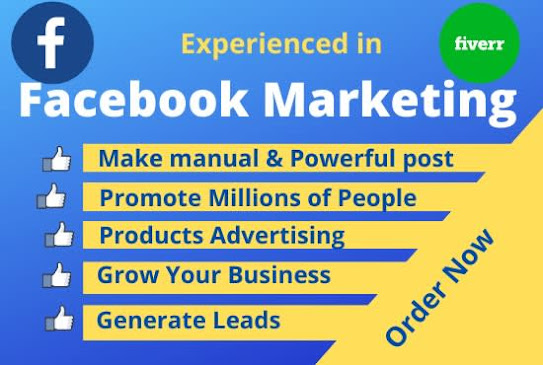 i will do facebook marketing and create business page