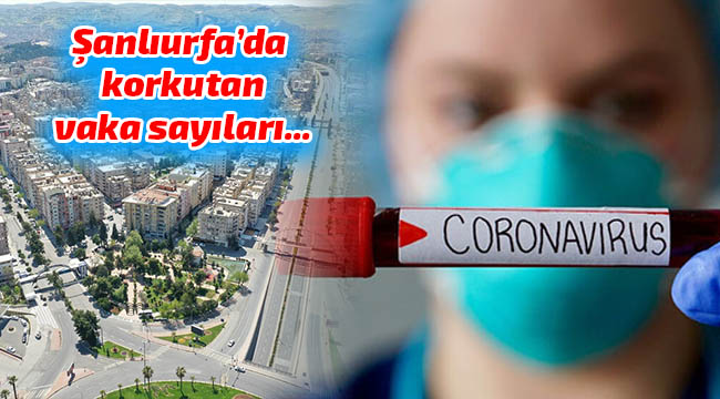 Yeni karantina sayısı açıklandı