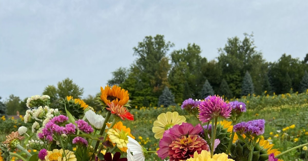 Metro Detroit UPick Wildflower Farm Fashion meets Food