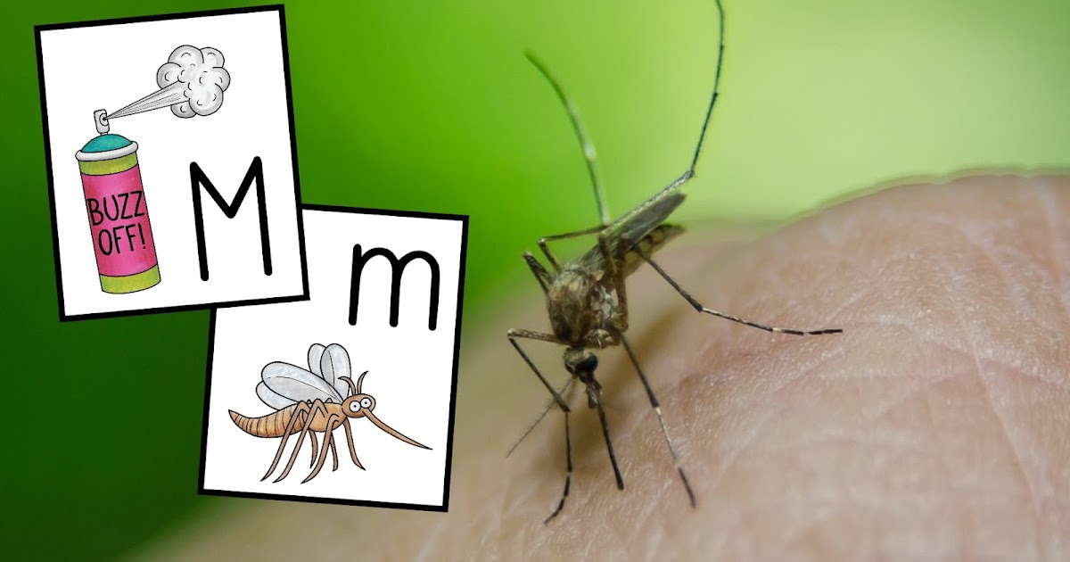 Mosquito Letter Match Game and Sensory Writing Tray