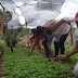 Agricultores familiares de Cícero Dantas trocam experiências sobre tecnologias de captação de água