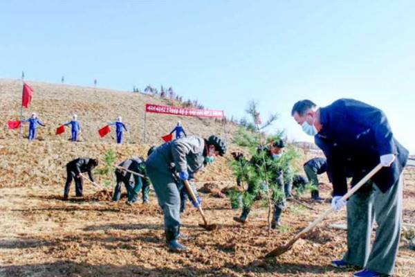 dprk spring tree-planting
