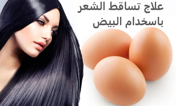 العلاج رقم 1 - علاج تساقط الشعر باسخدام البيض 3 علاجات مثبتة وفعالة يمكنك استخدامها لوقف تساقط الشعر