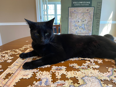 Photo of a black cat sitting on a partially completed puzzle. She looks to have quite an attitude.