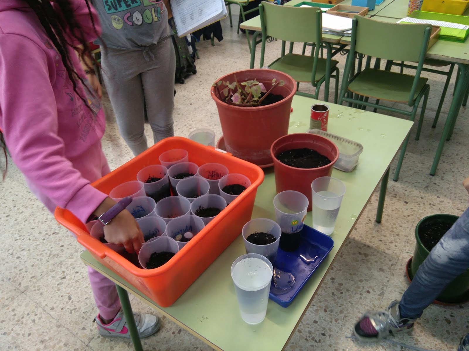 Proyectos De Ciencias Para Ninos De 3 Grado