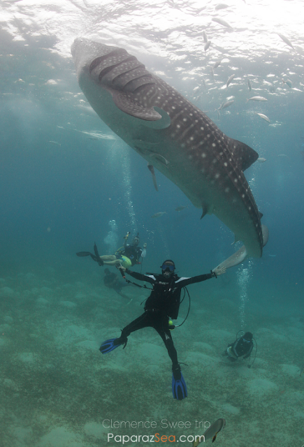 Jun V Lao, Underwater Photography, Scuba Diving