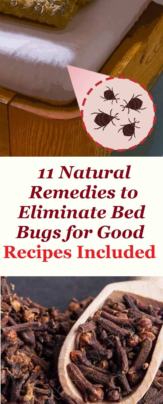 11 Natural Remedies To Eliminate Bed Bugs For Good Recipes Included