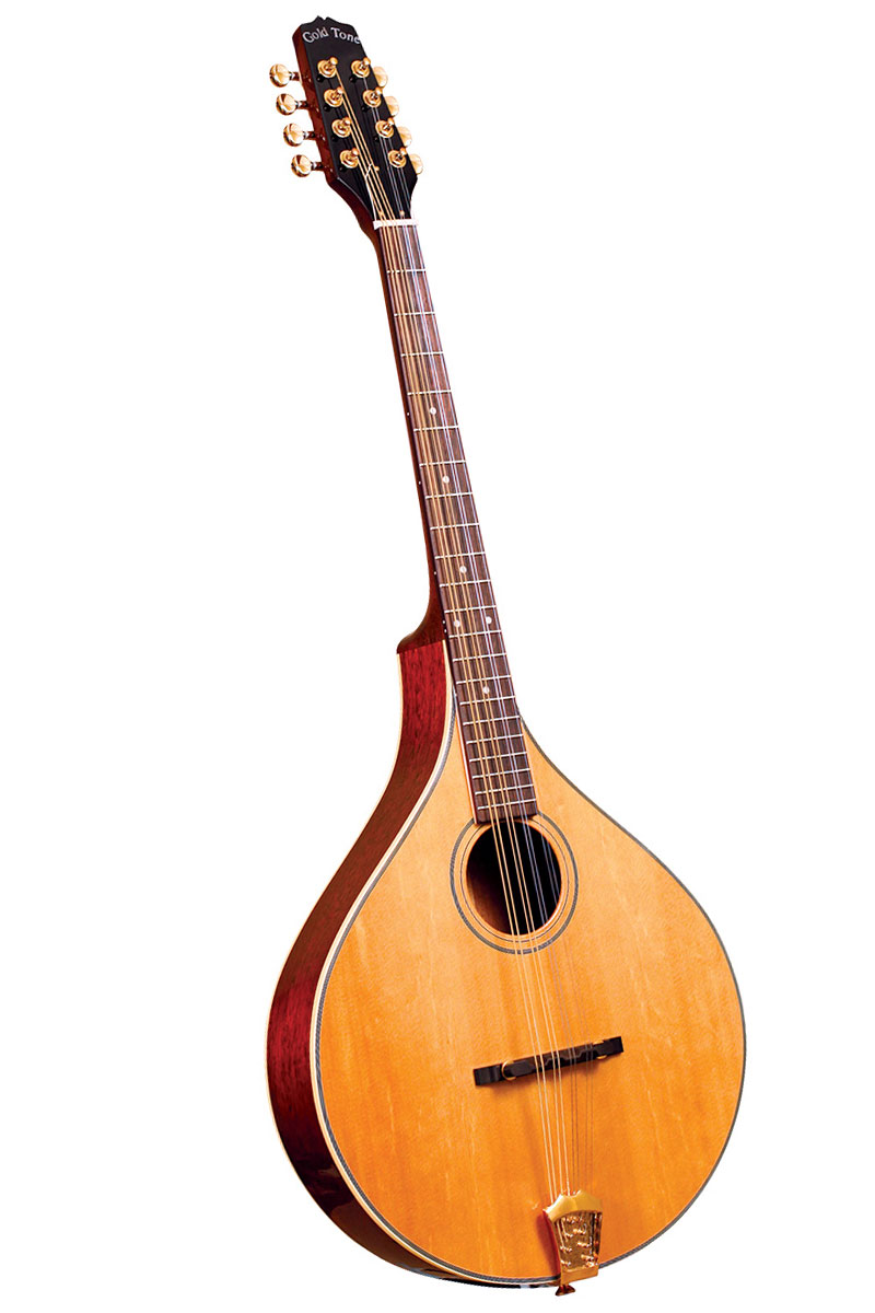 MANDOLIN LUTE FAMILY OF MUSICAL INSTRUMENT