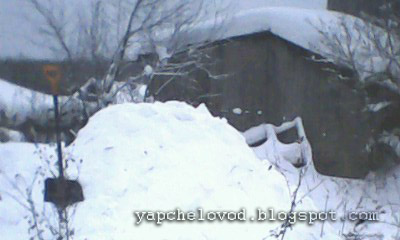 Два многокорпусника под снегом