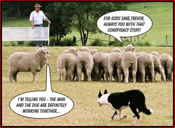 Metaphoric Comprehension Revisited by Dr Martin Roberts Consiracy%2BSheepdog